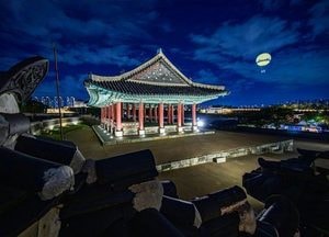 체험·자연·예술·역사·추억…수원에선 다 된다