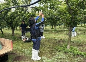 안성 과수 농가서 ‘착용형 근력보조 로봇’ 실증한다