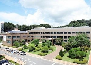 전 세계 홍역 유행… 파주시, 해외여행 전 예방접종 당부