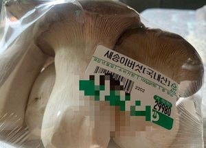 무심코 지나칠 뻔했던 10배 새송이 가격… 마트의 가격표시·결제 오류 소비자 울린다