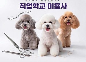 경기도, 반려견 미용사·훈련사 전문인력 양성