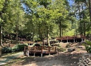 용인시, 용인자연휴양림 야영장 재개장