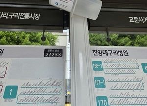 구리시, 러브버그 발생 민원 다발 지역 선제 방역 총력
