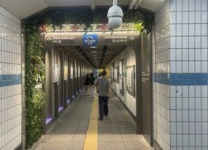 어두침침 안양 일번가 지하보도 갤러리 변신