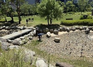 수원시 장안구, 대유평공원 계류시설 재정비 완료