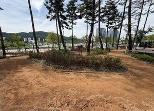 광주시, 중대물빛공원 등 4곳에 ‘흙 향기 맨발 길’ 조성 완료