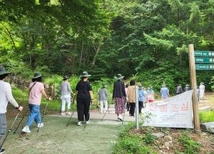 가평군치매안심센터, 치매가족 숲속 힐링 실시