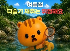 가평군 “여름철 다슬기 채취 안전사고 주의하세요”