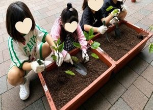 동두천시, 어린이집 상자텃밭 보급사업 큰 호응… 아이들 농업체험 인기