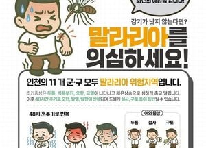 강화군 ‘말라리아 경보’ 발령… 긴급 방역 대응 강화