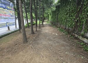 구리시 인창동 완충녹지 맨발 걷기 산책로 조성 완료