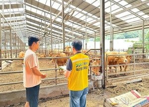 경기도 퇴직공무원이 축산환경매니저로…폭염 대응에 경험과 지혜 보탠다