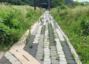 74억 들인 연천 백학저수지 수변공간 관광객 없이 잡초만 무성