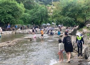 휴가철 동두천 탑동계곡, 열악한 인프라에 피서객 '몸살'
