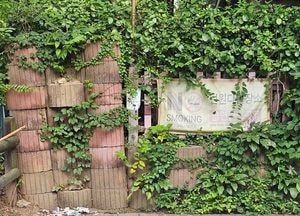 [카메라고발] 낡은 금연홍보 현수막 아래 수북한 담배꽁초… 금연구역 맞나요?