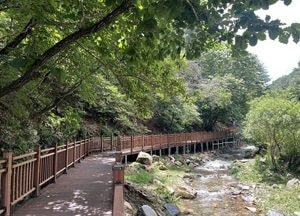 여름철 가볼 만한 경기도 자연공원 7선
