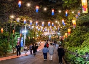 고양 야행 ‘행주가 예술이야’, 대표 야간 축제 자리매김