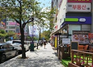 용인시 도시미관 개선 불법 풍선형 입간판 정비