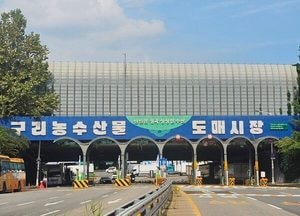 구리농수산물공사, 사장·관리본부장 등 공개 모집