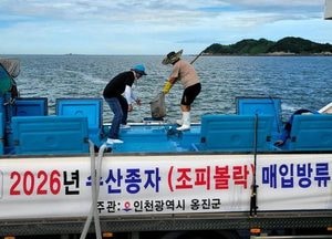 옹진군, 조피볼락 종자 30만 마리 방류