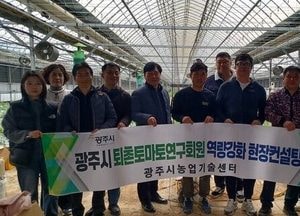 광주시, 맞춤현 현장 자문으로 퇴촌 토마토 판로 확대한다