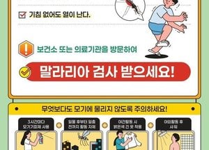 야간 야외활동 시 모기 조심하세요