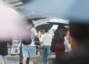 [오늘 날씨] 9월 첫날, 전국 흐리고 곳곳 비·소나기…돌풍·천둥·번개 조심