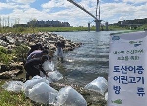 경기도, 10개 시군 강·하천에 토종 수산생물 59만 마리 방류