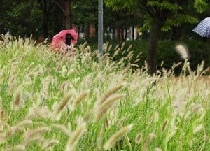 [오늘 날씨] 낮 최고 32도…오전까지 전국 곳곳에서 비