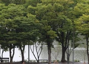 [오늘 날씨] "초가을이 왔어요?" 맑고 신선...영동·제주 가끔 비