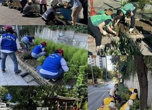 구리시 동구동, 쌈지공원에 가을꽃 3,000여 본 심어