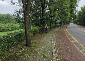 수원시 장안구, 추석맞이 주요 도로·보도 집중 정비