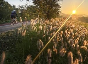 [오늘 날씨] 전국 대체로 일교차 큰 초가을 날씨, 동해안 비에 강풍