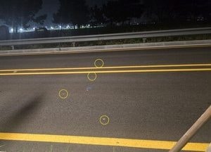 환경단체 "영종도 신설 해안도로서 도둑게 '로드킬'… 보호방안 필요"