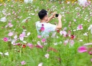 [오늘 날씨] 아침 쌀쌀 최저 10도·낮 최고 30도…일교차 10~15도