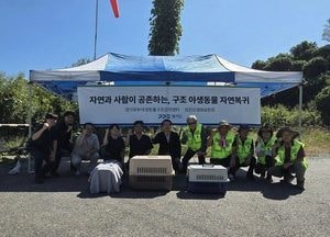 경기도, 삵 등 어미 잃은 야생동물 16마리 방생