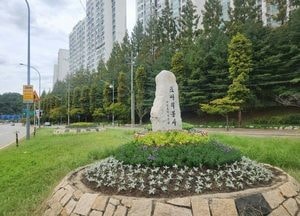 용인시, 지역 곳곳 가을꽃으로 새 단장