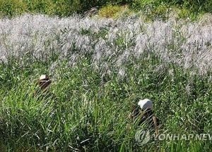 [오늘날씨] "아침은 가을, 낮엔 30도"…전국 맑지만 큰 일교차