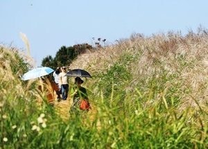 [오늘날씨] 추분 앞두고 아침 선선, 낮 30도...맑고 큰 일교차