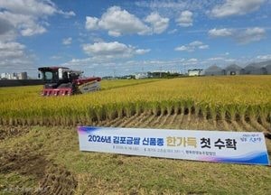 김포 특산 벼 품종 2029년까지 ‘한가득‘으로 바꾼다