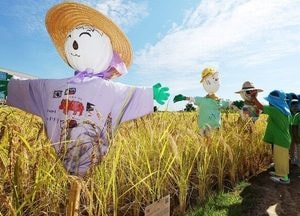 [오늘날씨] 낮·밤 길이 같은 추분에 낮 기온 30도…전국 대체로 맑음
