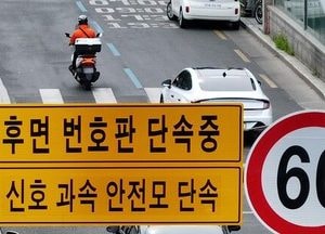후면 단속카메라 적발 급증…"귀성길 뒷 번호판 찍힐라 조심"