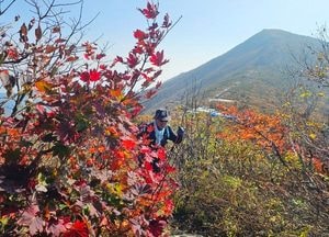[오늘날씨]  "긴 옷 챙기세요"...최저 5도 '뚝' 쌀쌀해진 아침 출근길