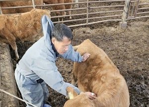 가평군, 겨울철 가축전염병 차단 ‘총력’