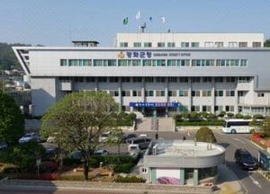 "새우젓 사러 왔다가 불꽃놀이까지… 한글날 연휴 강화로"
