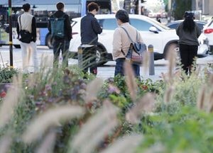 [오늘날씨] "추워졌어요" 아침 3도 맑고 쌀쌀한 출근길…강원 일부 얼음·서리