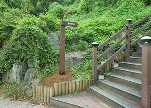용인시 수지구, 광교산·대지산 등 등산로 정비