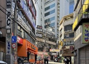 ‘킥보드 없는 거리’확대에 97.5%가 찬성