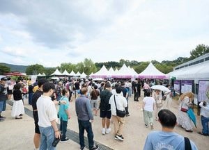 양주 천일홍 가을 페스타 5일간 8만명 찾았다
