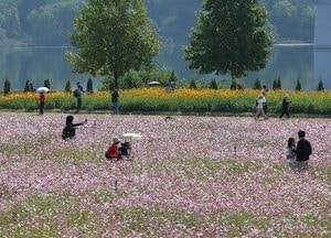 일교차 15도 안팎으로 커…남부·제주 흐리고 비